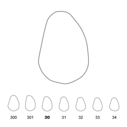 Temporary Crowns Upper Canines Right 30 
