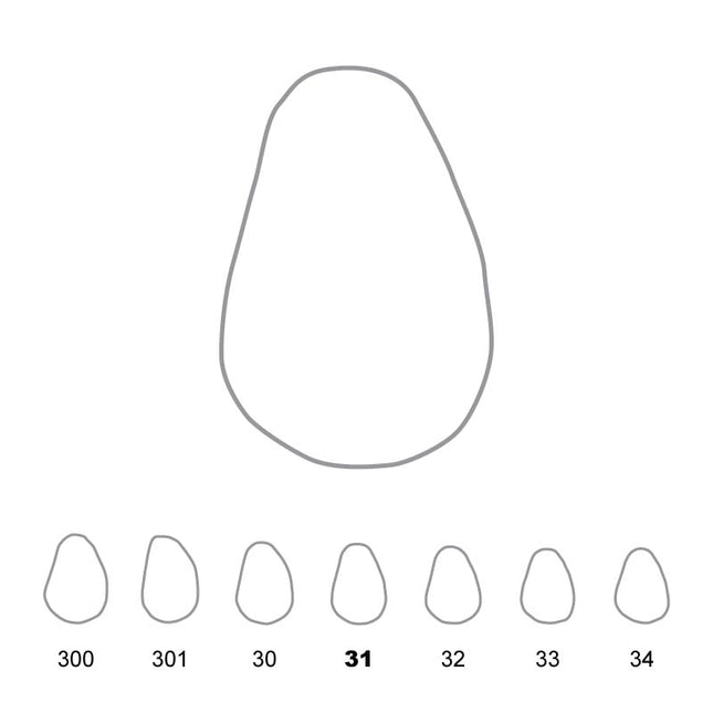 Temporary Crowns Upper Canines Right 31 