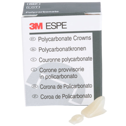 Polycarbonate Crowns Canines Right 33 