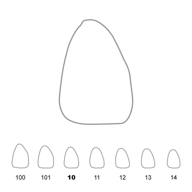 Temporary Crowns Upper Central Incisors Right 10 