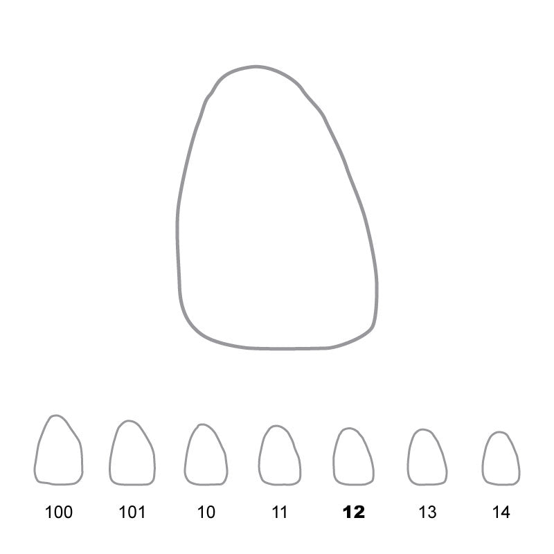 Temporary Crowns Upper Central Incisors Right 12 
