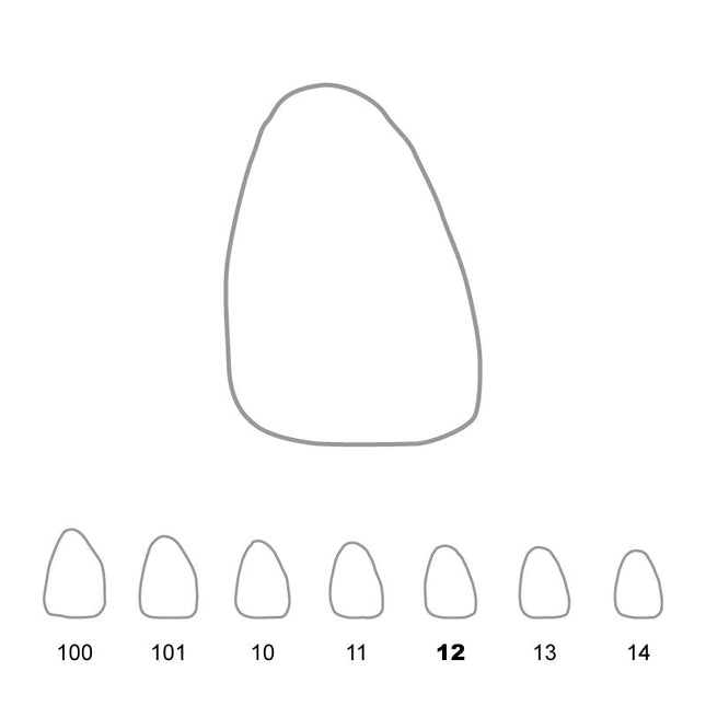 Temporary Crowns Upper Central Incisors Right 12 