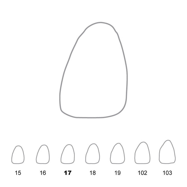 Temporary Crowns Upper Central Incisors Left 17 