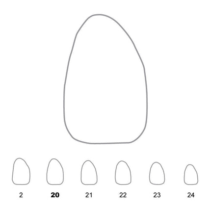 Temporary Crowns Upper Lateral Incisors Right 20 