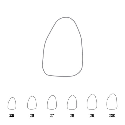 Temporary Crowns Upper Lateral Incisors Left 25 