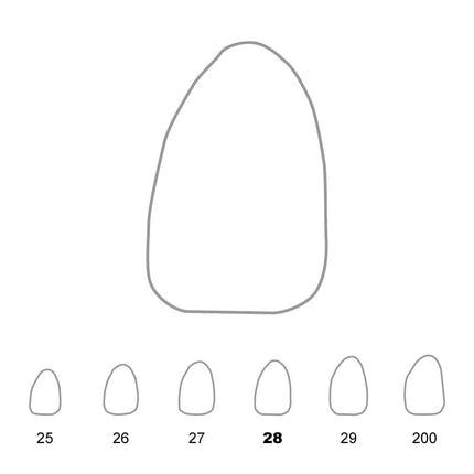 Temporary Crowns Upper Lateral Incisors Left 28 