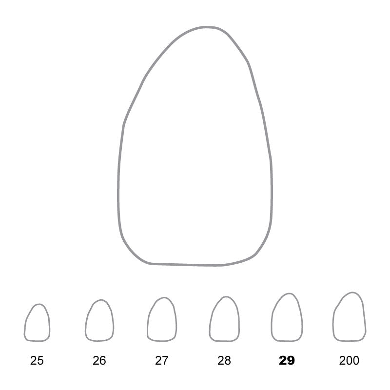Temporary Crowns Upper Lateral Incisors Left 29 