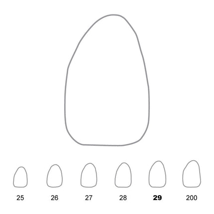 Temporary Crowns Upper Lateral Incisors Left 29 