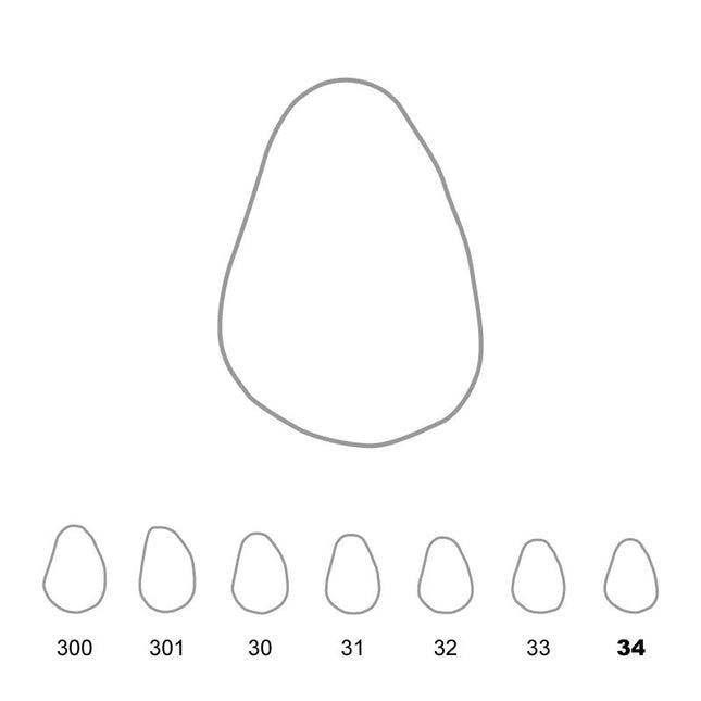 Temporary Crowns Upper Canines Right 34 
