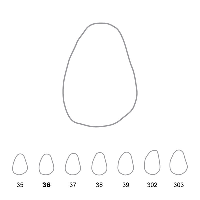 Temporary Crowns Upper Canines Left 36 