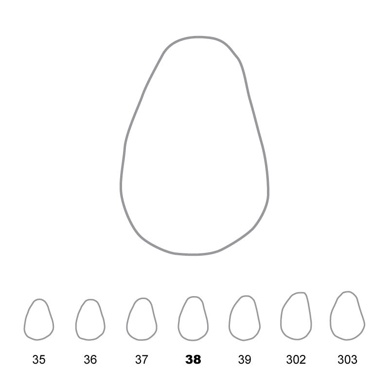 Temporary Crowns Upper Canines Left 38 