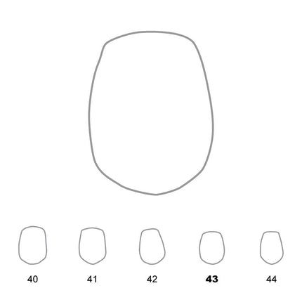Temporary Crowns Upper Premolars 43 