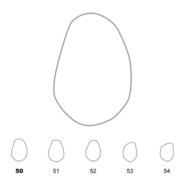 Temporary Crowns Lower Premolars 50 