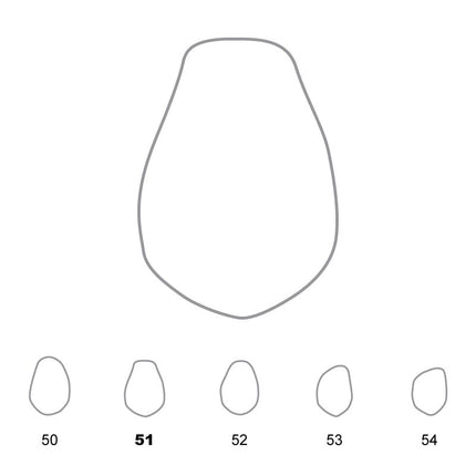 Temporary Crowns Lower Premolars 51 