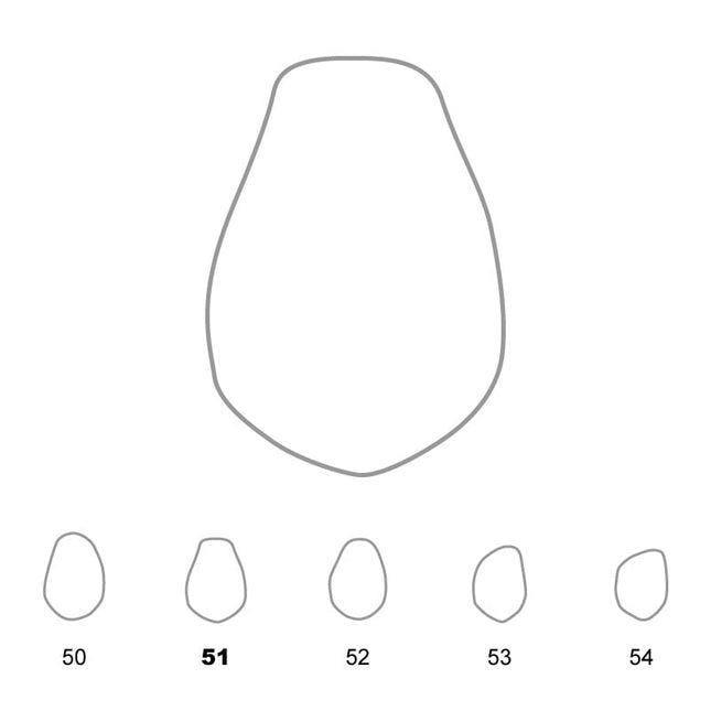 Temporary Crowns Lower Premolars 51 