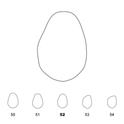 Temporary Crowns Lower Premolars 52 