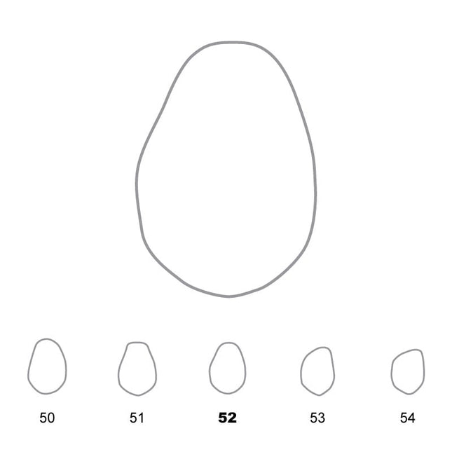 Temporary Crowns Lower Premolars 52 