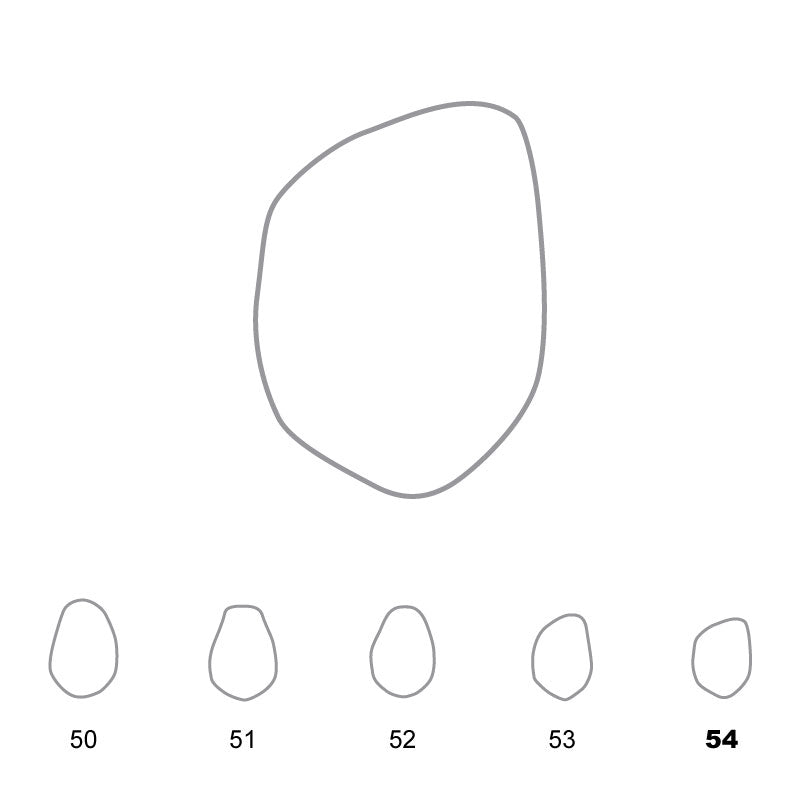 Temporary Crowns Lower Premolars 54 