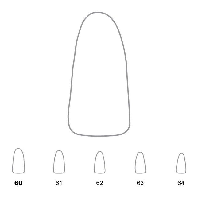 Temporary Crowns Lower Incisors 60 