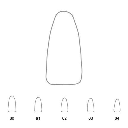 Temporary Crowns Lower Incisors 61 