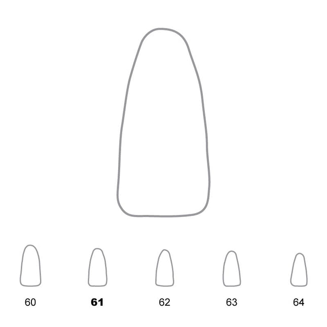 Temporary Crowns Lower Incisors 61 