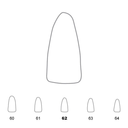Temporary Crowns Lower Incisors 62 