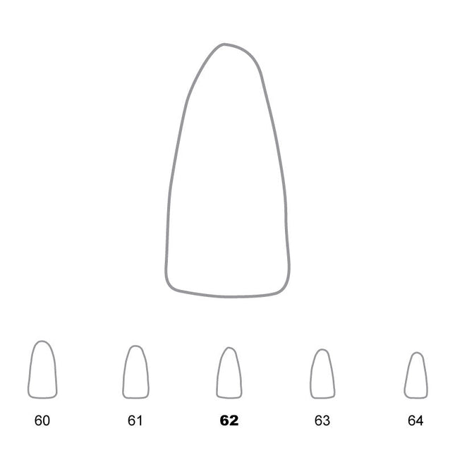 Temporary Crowns Lower Incisors 62 