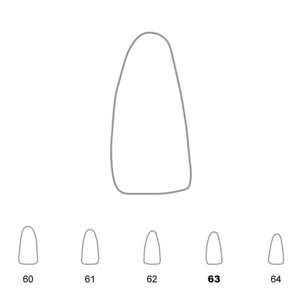 Temporary Crowns Lower Incisors 63 