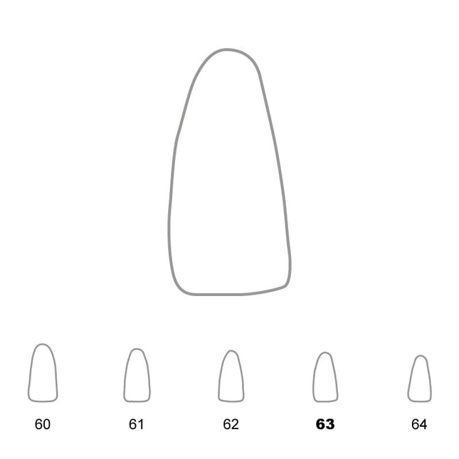 Temporary Crowns Lower Incisors 63 