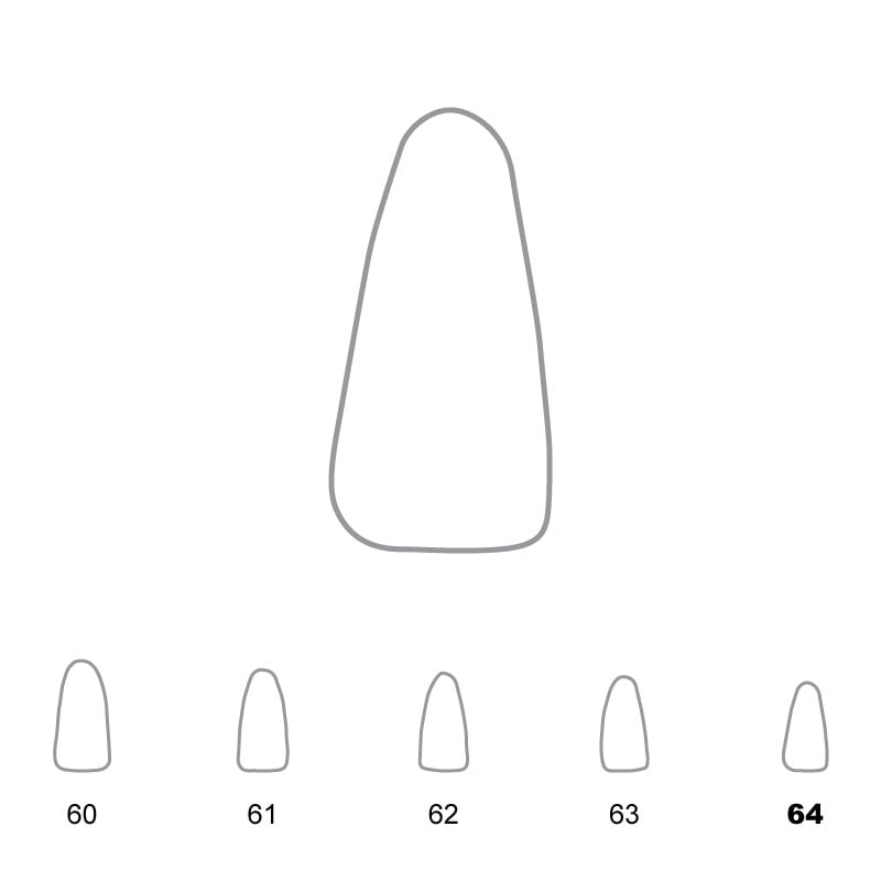 Temporary Crowns Lower Incisors 64 