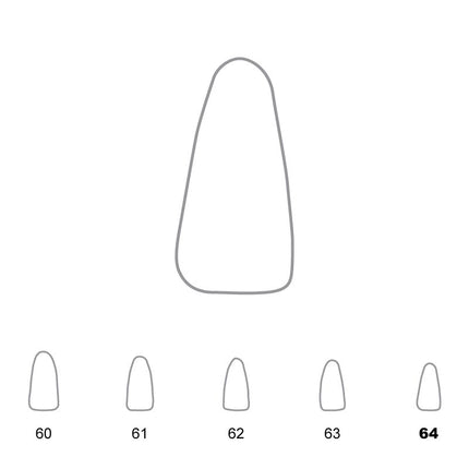 Temporary Crowns Lower Incisors 64 