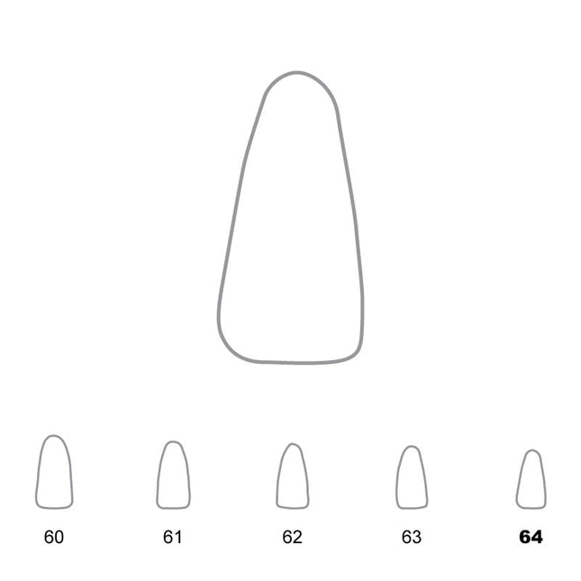 Temporary Crowns Lower Incisors 64 