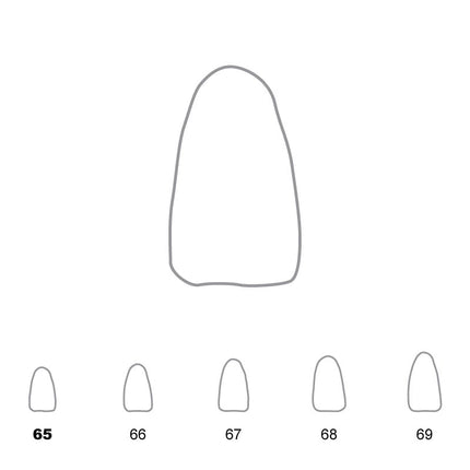 Temporary Crowns Lower Incisors 65 