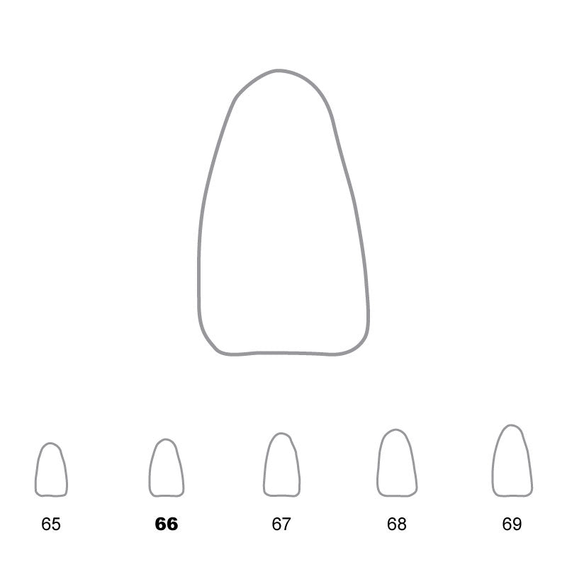 Temporary Crowns Lower Incisors 66 