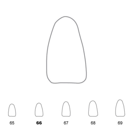 Temporary Crowns Lower Incisors 66 