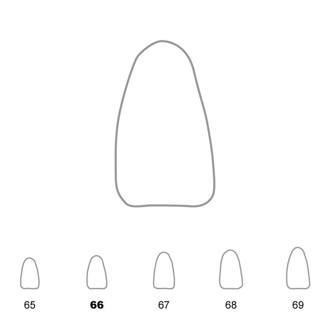 Temporary Crowns Lower Incisors 66 