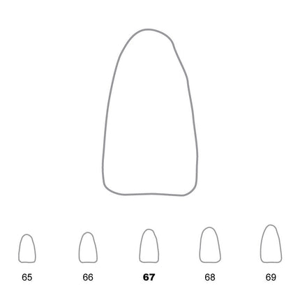 Temporary Crowns Lower Incisors 67 