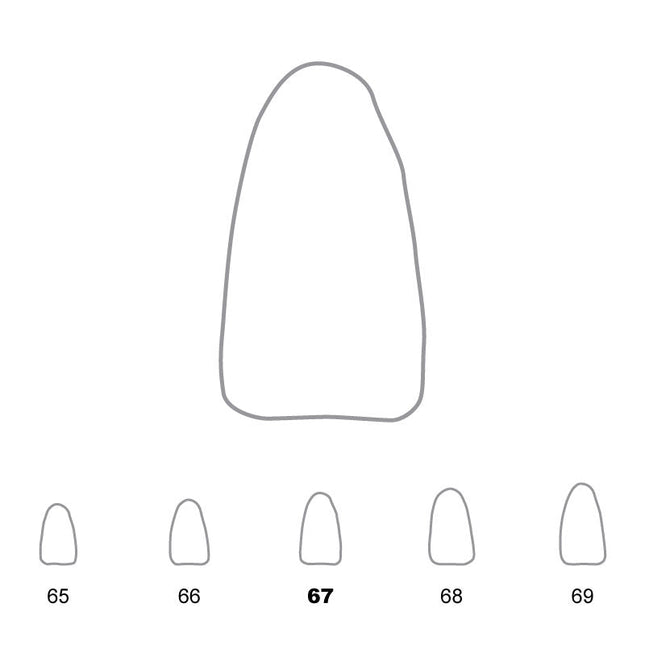 Temporary Crowns Lower Incisors 67 