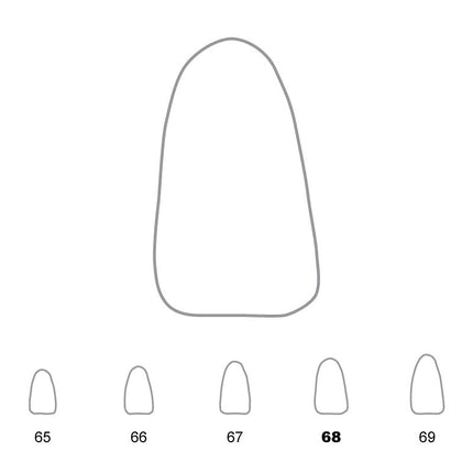 Temporary Crowns Lower Incisors 68 