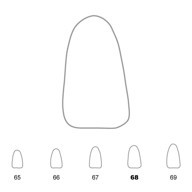Temporary Crowns Lower Incisors 68 