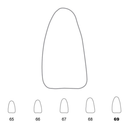 Temporary Crowns Lower Incisors 69 