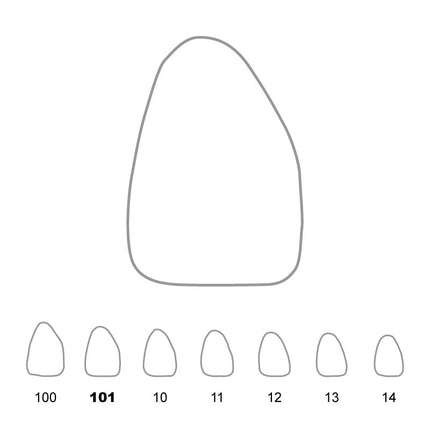 Temporary Crowns Upper Central Incisors Right 101 