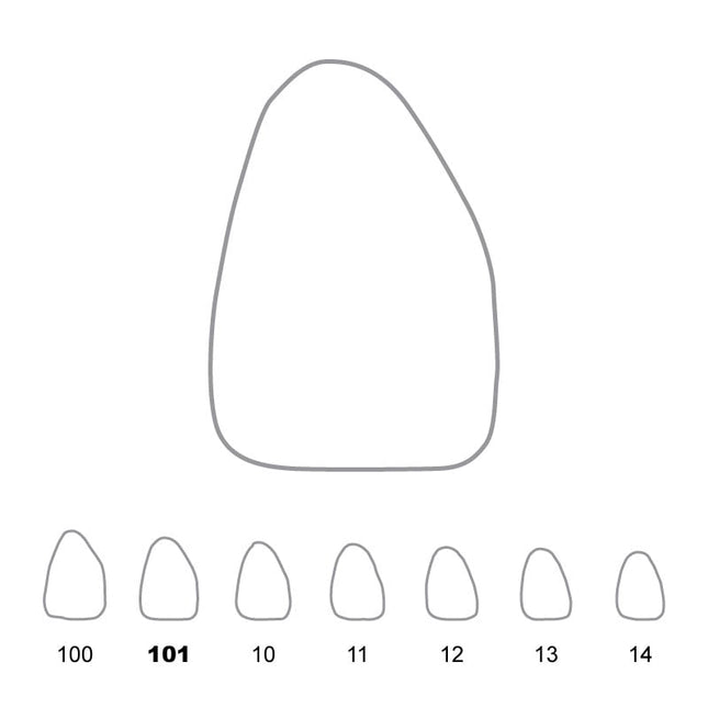 Temporary Crowns Upper Central Incisors Right 101 