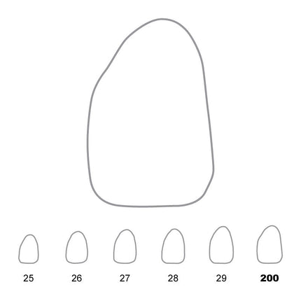 Temporary Crowns Upper Lateral Incisors Left 200 