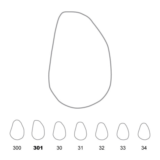 Temporary Crowns Upper Canines Right 301 