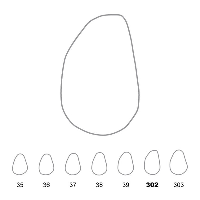 Temporary Crowns Upper Canines Left 302 