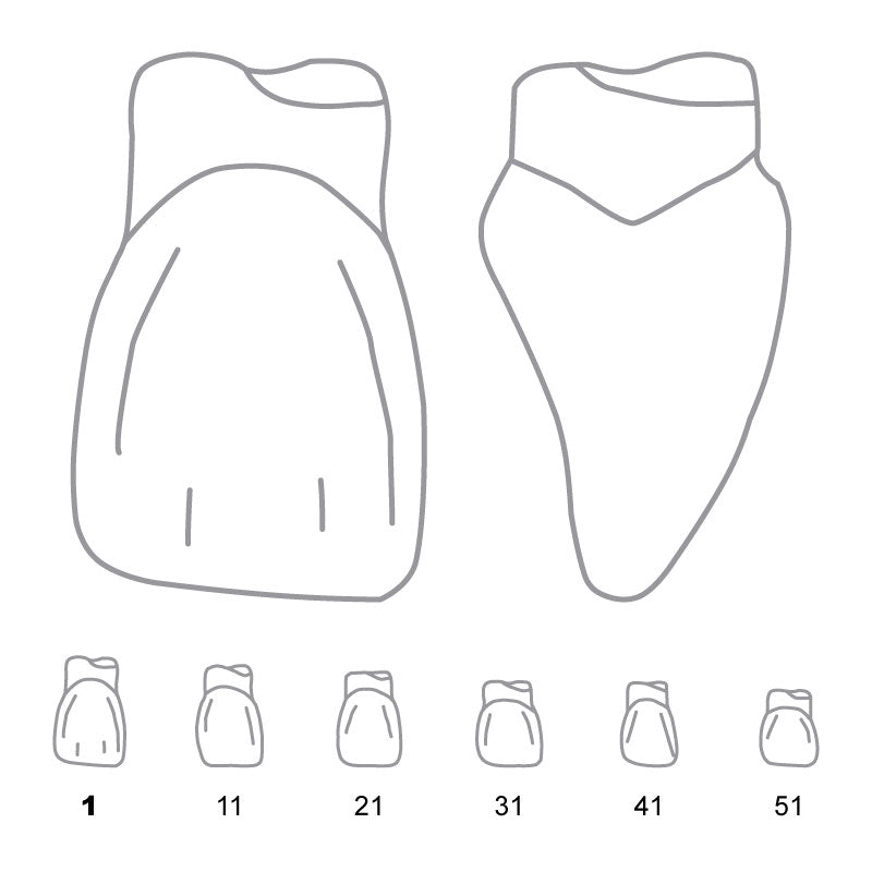 Odus Pella Transparent Crown Forms. Centrals 1 
