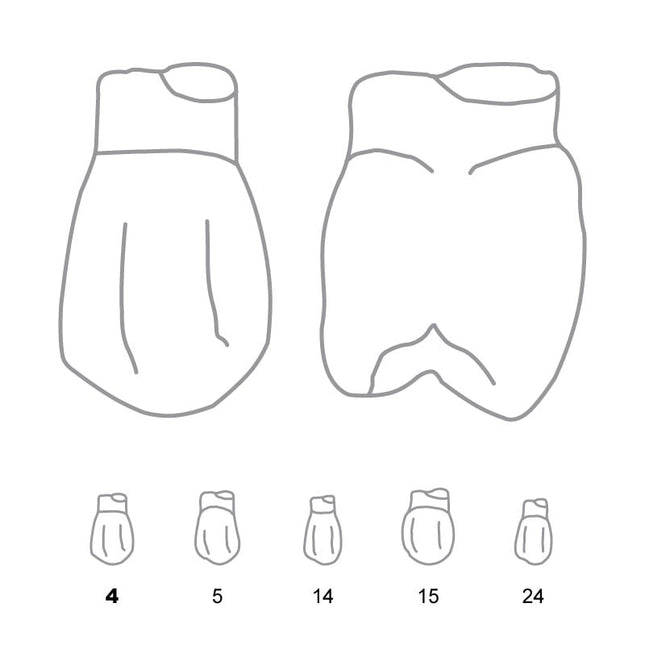 Odus Pella Transparent Crown Forms Bi-Cuspids 4 