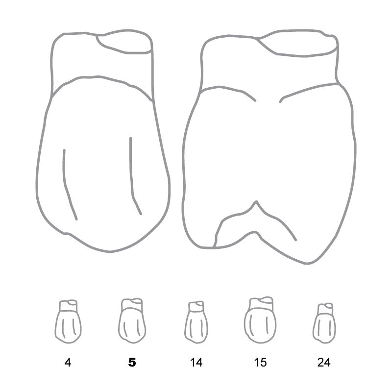Odus Pella Transparent Crown Forms Bi-Cuspids 5 