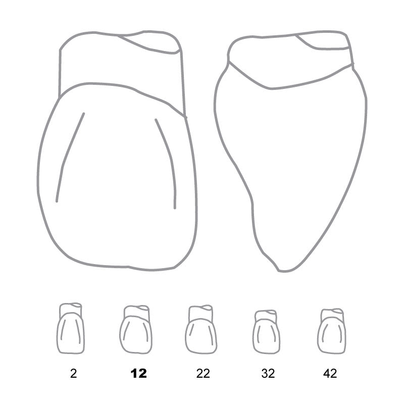Odus Pella Transparent Crown Forms Laterals 12 